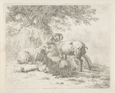 Får og en ged af Abraham Hendrik Winter