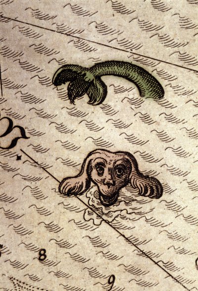 Et havmonster har et hundehoved og en fiskekrop. Detalje af et kort i "Theatrum Orbis Terrarum" af Abraham Ortelius, Antwerpen 1584. af Abraham Ortelius