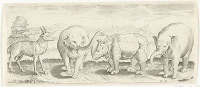 Gazelle, elefant og næsehorn Dyr (serietitel) af Abraham de Bruyn (possibly)