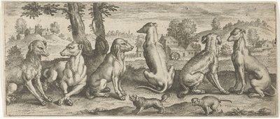 hunde Dyr (serietitel) af Abraham de Bruyn (possibly)