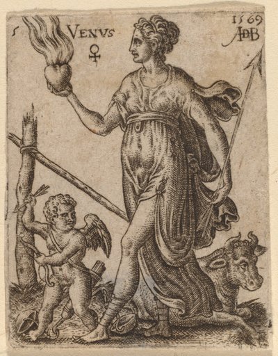 Venus af Abraham de Bruyn