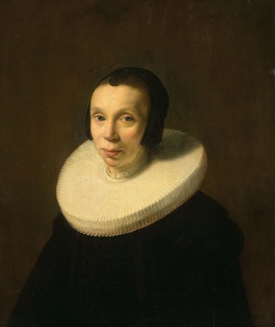 Portræt af en kvinde af Abraham de Vries