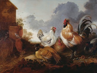 Fjerkræ i en gård af Abraham van Calraet