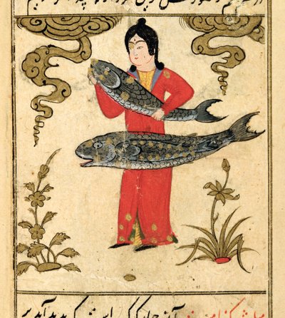 Stjernetegnene i Zodiaken: Fiskene, Fisken, fra Talim dar marifat i taqvim, 1498 (903 Hijra) af Abu Jafar al Tabari
