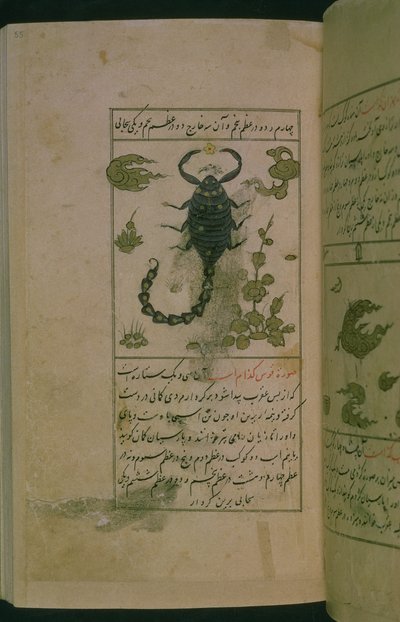 Stjernebilleder af stjernetegn: Skorpionen, Skorpionen, fra Talim dar marifat i taqvim, 1498 (903 Hijra) (blæk) af Abu Jafar al Tabari
