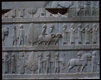 Udsigt over relieffer af østtrapper af Achaemenid