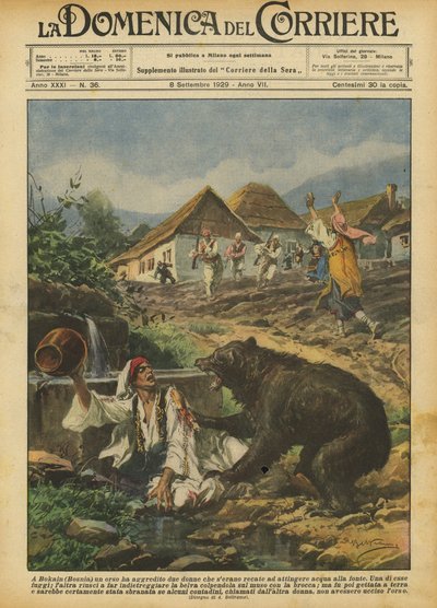I Bokain (Bosnien) angreb en bjørn to kvinder, der gik for at hente vand fra kilden af Achille Beltrame