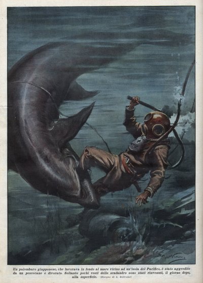 En japansk dykker med en scaphandler blev fortæret af en haj i Stillehavet. Illustration af Achille Beltrame fra "La domenica del corriere"" af 08/08/1937. af Achille Beltrame