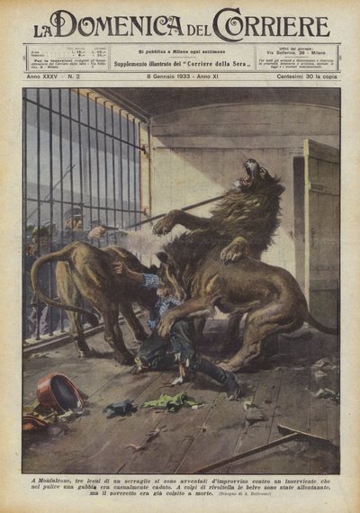 I Monfalcone skyndte tre løver af et menageri pludselig mod en ledsager, hvem? af Achille Beltrame