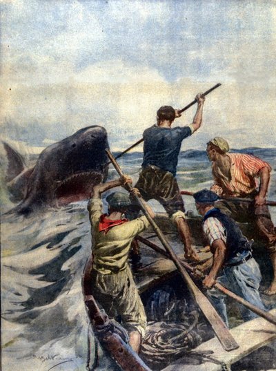 En konfrontation mellem sicilianske fiskere og en enorm tigerhaj endte med erobringen af havuhyret, der vejede 12 kvint. Ill. d