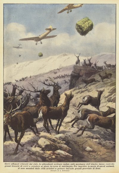 Sultne rådyr tankes fra himlen af Achille Beltrame