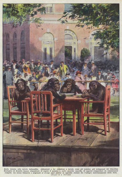 Fra skoven til det dækkede bord af Achille Beltrame