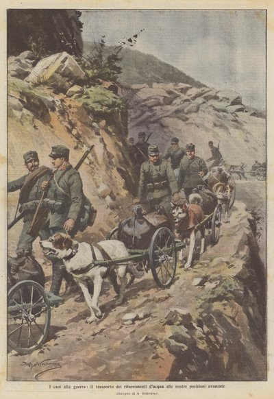 Hunde til krig, transporterer vandforsyninger til vores forreste positioner af Achille Beltrame