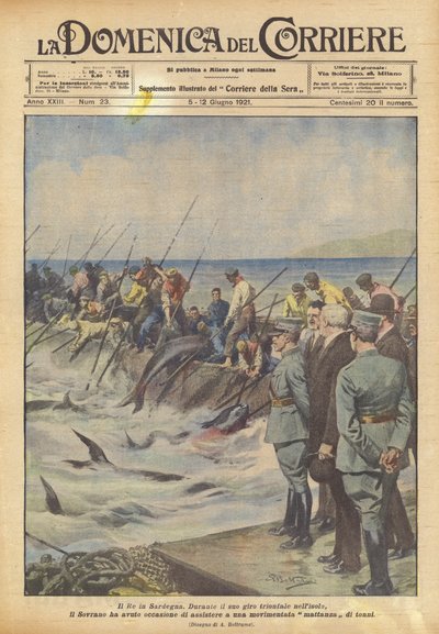 Kongen på Sardinien af Achille Beltrame