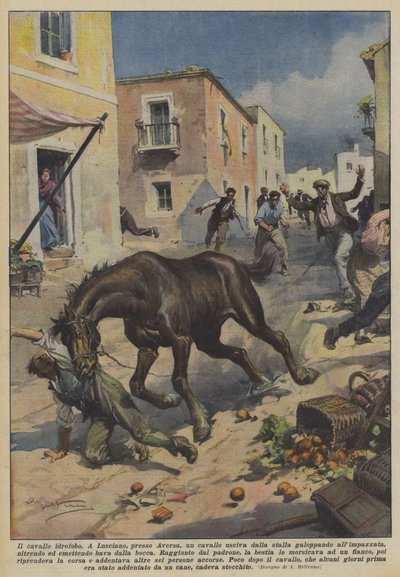 Den hydrofobe hest af Achille Beltrame