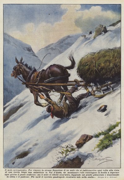 Det neurasteniske muldyr af Achille Beltrame