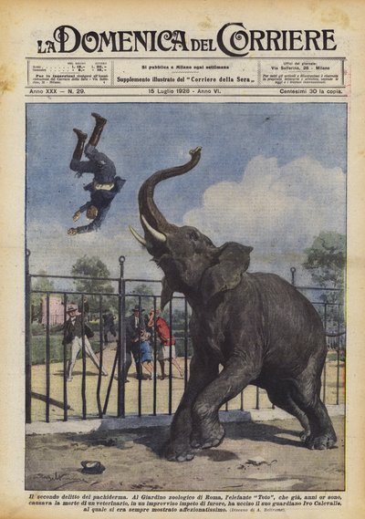 Den anden forbrydelse af pachyderm af Achille Beltrame