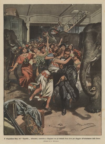 Telegrafist Bins fra den sunkne republik, der er tvunget til at søge tilflugt blandt elefanterne i et cirkus? af Achille Beltrame