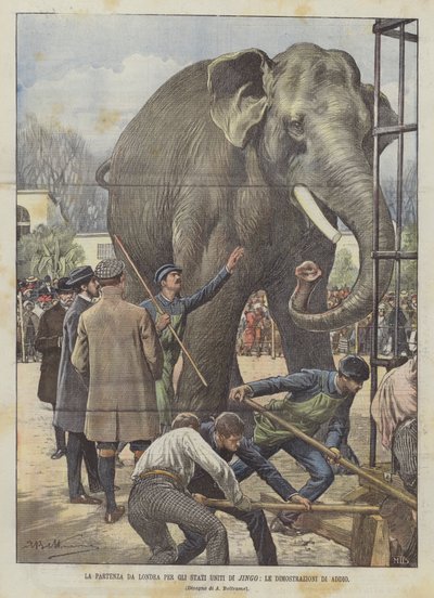 Afgangen fra London til Jingos Forenede Stater, Afskedsdemonstrationerne af Achille Beltrame
