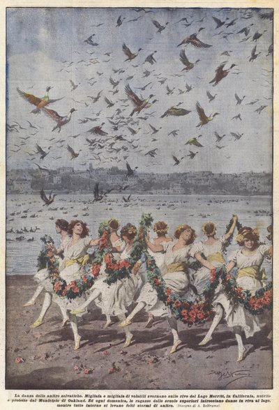 Vildændernes dans af Achille Beltrame