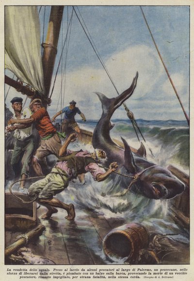 Hajens hævn af Achille Beltrame
