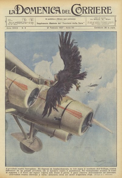 Gribben mod flyvemaskinen af Achille Beltrame