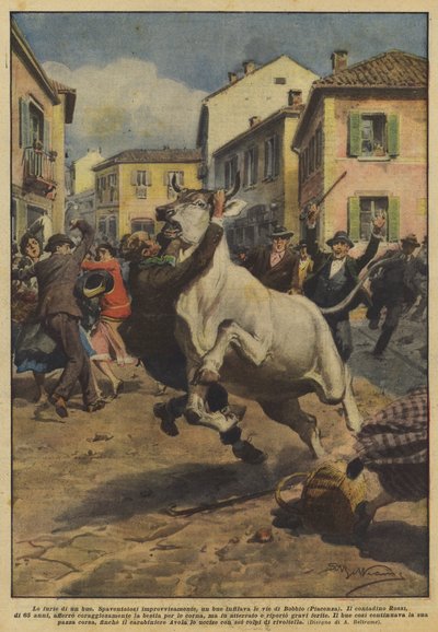 En okses raseri af Achille Beltrame