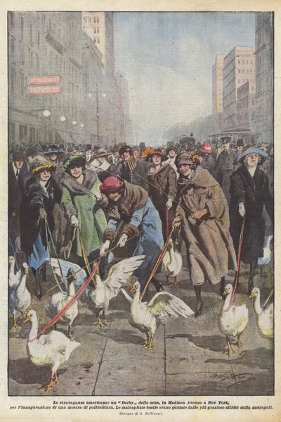 Amerikanske udskejelser, et Gæs Derby, på Madison Avenue i New York, til indvielsen? af Achille Beltrame