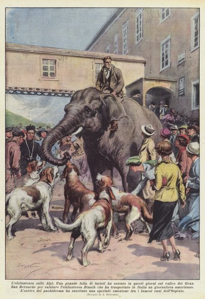 Elefanten på Alperne af Achille Beltrame