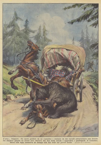 Bjørnen? brigand af Achille Beltrame