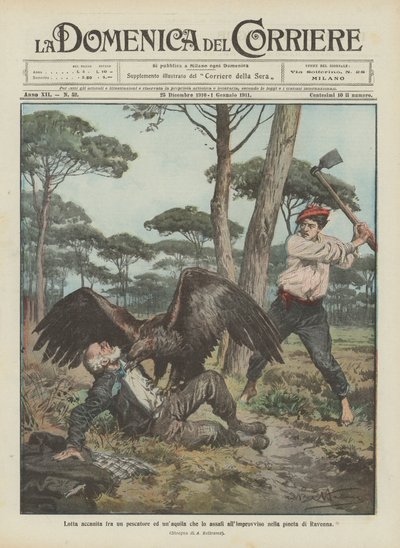 En hård kamp mellem en fisker og en ørn, der pludselig angriber ham i Ravenna fyrreskoven. af Achille Beltrame