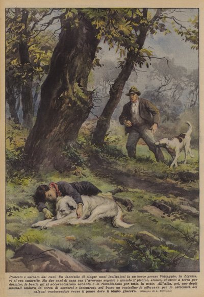 Beskyttet og reddet af hunde af Achille Beltrame