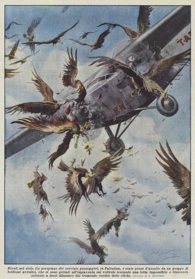 Rivaler i himlen af Achille Beltrame