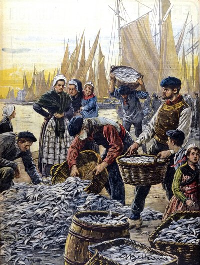 Sardinfiskeri i Bretagne i 1903 illustration af Achille Beltrame af Achille Beltrame