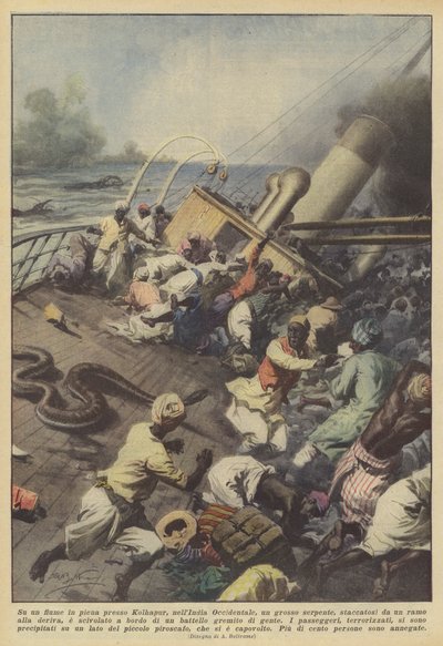 På en rivende flod nær Kolhapur, Vestindien, brød en stor slange af? af Achille Beltrame