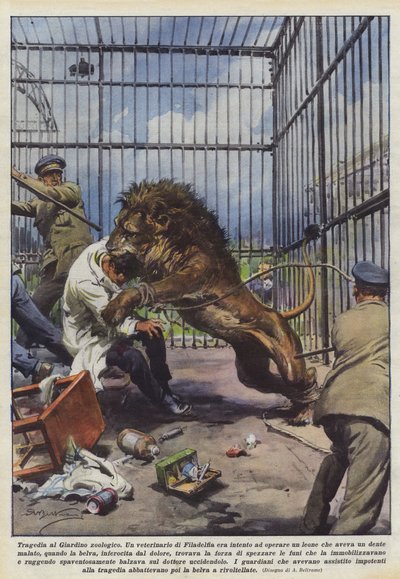 Tragedie i Zoologisk Have af Achille Beltrame