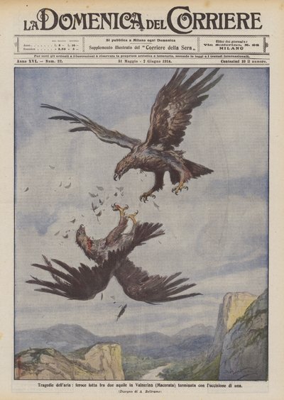 Lufttragedie, en voldsom kamp mellem to ørne i Valnerina (Macerata), som endte med at dræbe den ene af dem. af Achille Beltrame