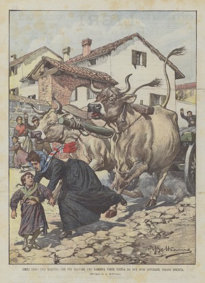 Ydmyge helte, en lærer, der skal redde en lille pige, bliver dræbt af to rasende okser, nær Brescia af Achille Beltrame