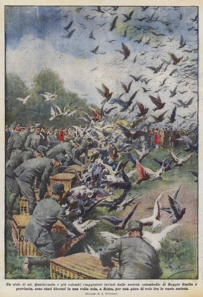 En himmel af vinger af Achille Beltrame