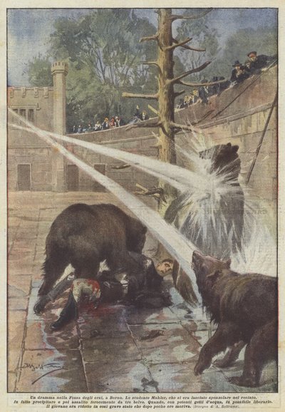 Et drama i Bjørnegraven i Bern af Achille Beltrame