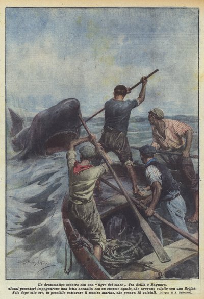 En dramatisk konfrontation med en havtiger af Achille Beltrame