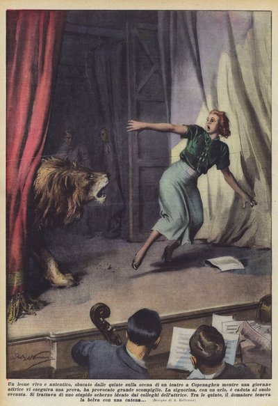 En levende, autentisk løve dukkede op fra fløjene på en scene i Københavns teater, mens en ? af Achille Beltrame