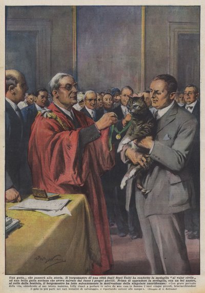 En kat? der vil gå over i historien af Achille Beltrame