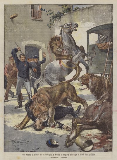 En scene af terror i et menageri i Moskva, efter at løver er sluppet ud af deres bur af Achille Beltrame