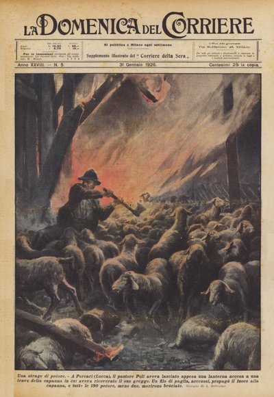 En slagtning af får af Achille Beltrame