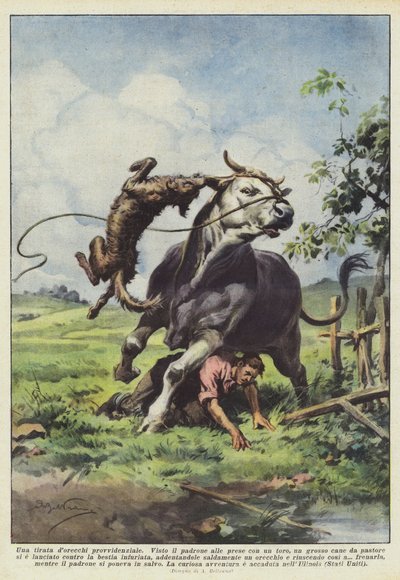 En forsynet tirade dorecchi af Achille Beltrame