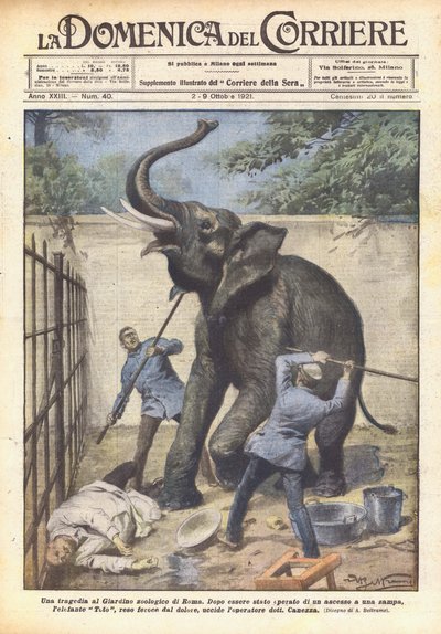 En tragedie i Roms zoologiske have af Achille Beltrame