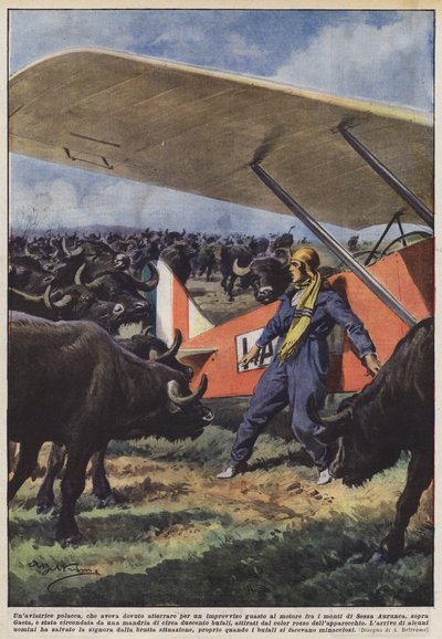 Et polsk skib, som måtte gå i land på grund af et pludseligt motorstop i bjergene? af Achille Beltrame