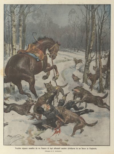 Gammel mand angrebet af en flok sultne ulve under ridning i en skov i Ungarn af Achille Beltrame