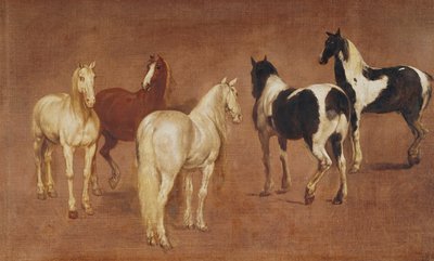 Studie af fem heste af Adam Frans van der Meulen